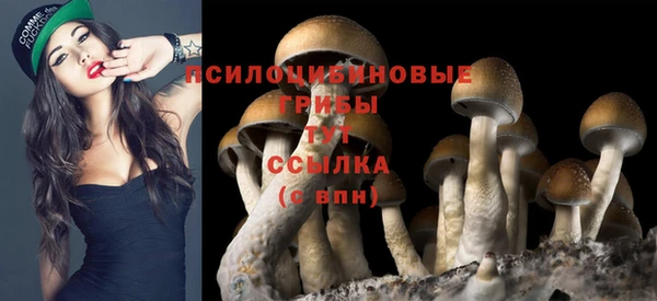 дживик Абинск