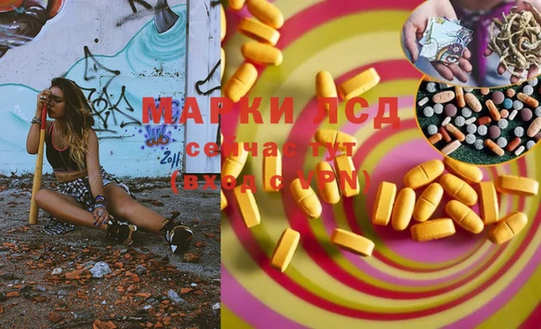 дживик Абинск