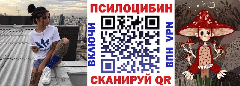 Псилоцибиновые грибы Psilocybine cubensis  Кяхта 